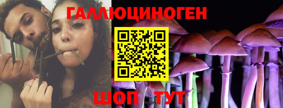 Псилоцибиновые грибы MAGIC MUSHROOMS  Вход с VPN  Ахтубинск 